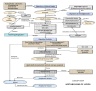 Concept Map Lipids Metablosim  PDF